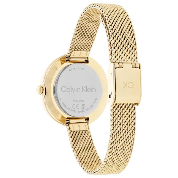 Calvin Klein CK25200186 Kadın Kol Saati - 2