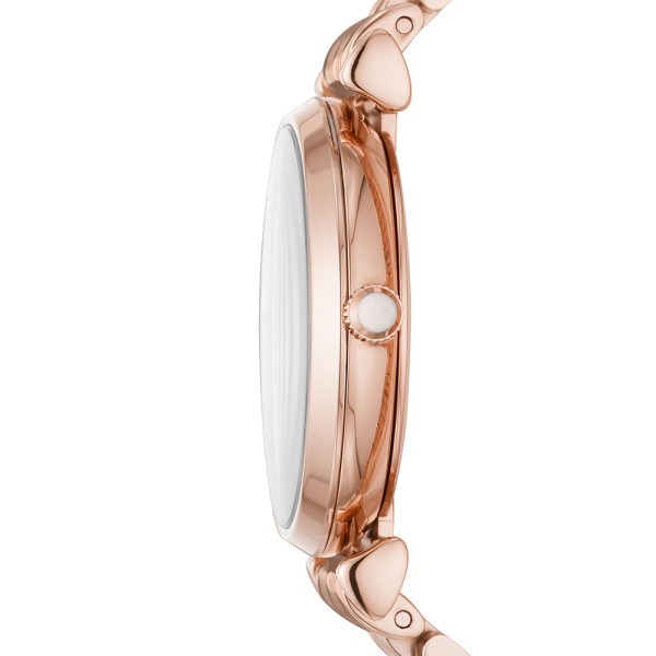 Emporio Armani AR11244 Bayan Kol Saati - 2