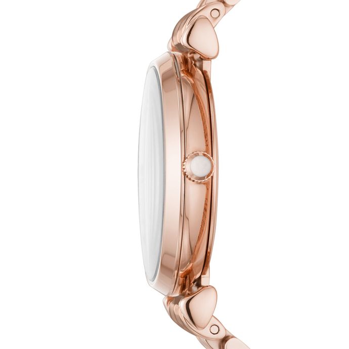 Emporio Armani AR11244 Bayan Kol Saati - 2