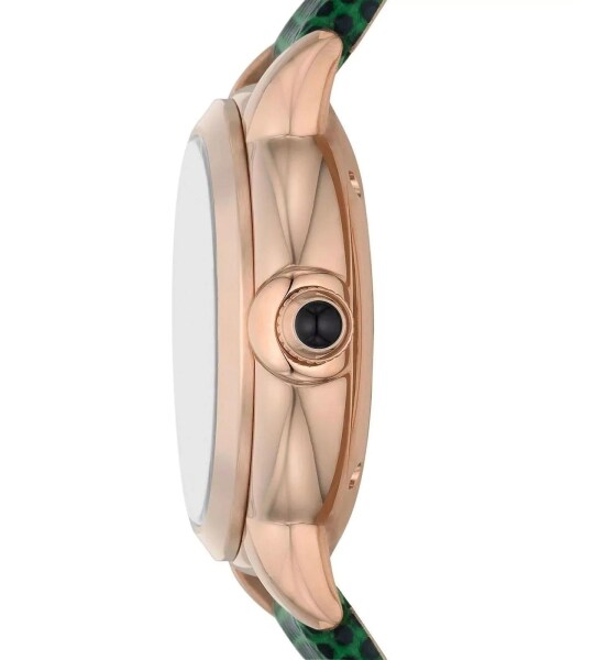 Emporio Armani AR60073 Otomatik Kadın Kol Saati - 2