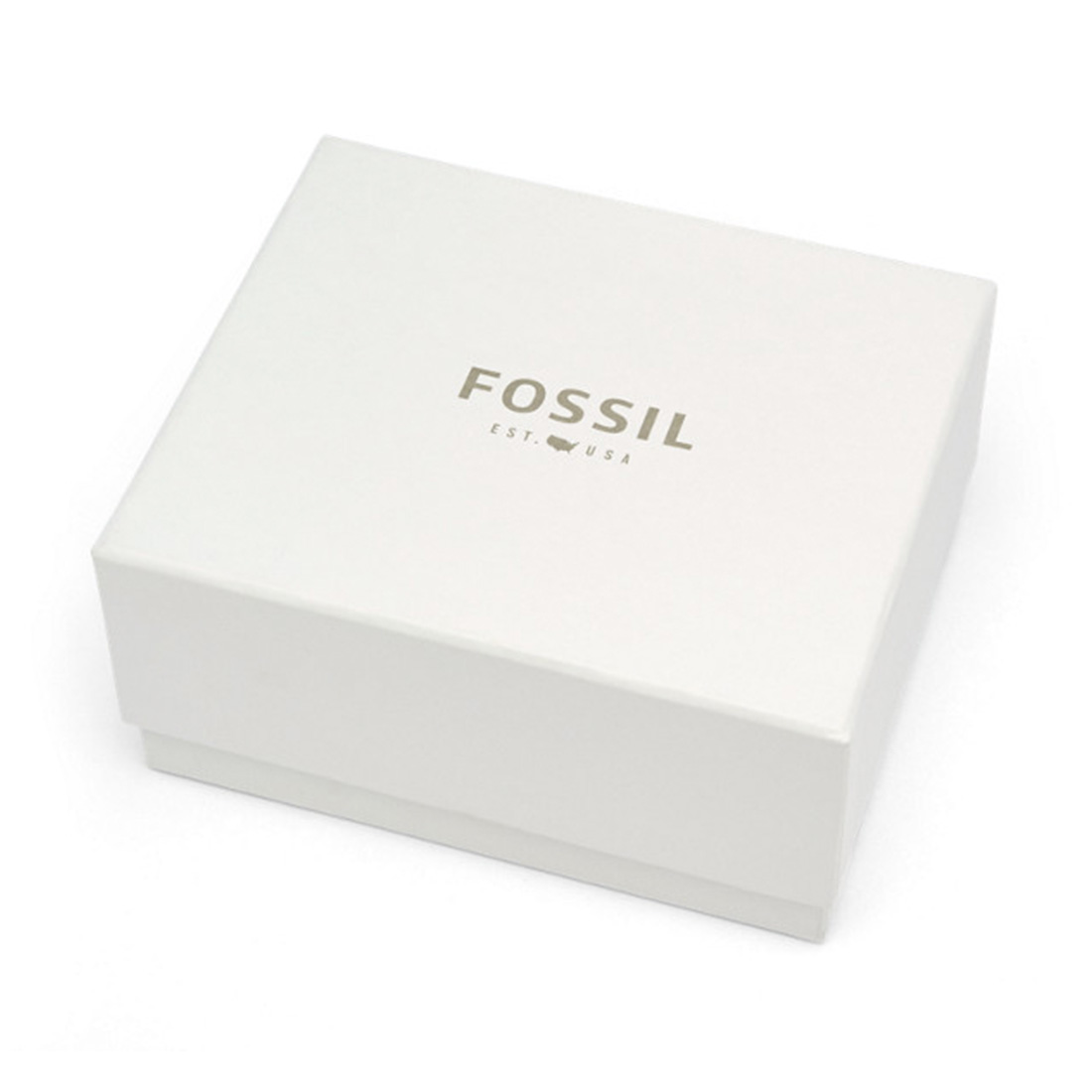 Fossil FS5061 Erkek Kol Saati