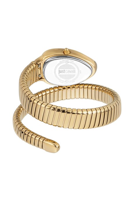 Just Cavalli JC1L208M0045 Kadın Kol Saati - 2