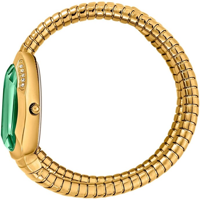 JUST CAVALLI JC1L209M0045 Kadın Kol Saati - 2