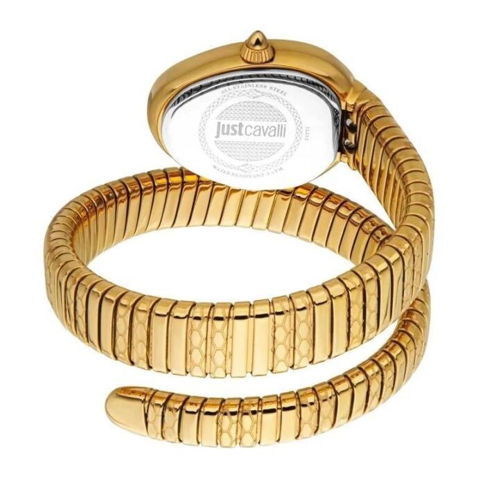 Just Cavalli JC1L222M0035 Kadın Kol Saati - 3
