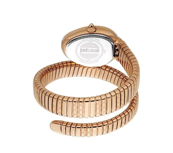 Just Cavalli JC1L222M0045 Kadın Kol Saati - 3