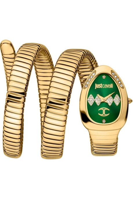 JUST CAVALLI JC1L230M0045 Kadın Kol Saati - 1