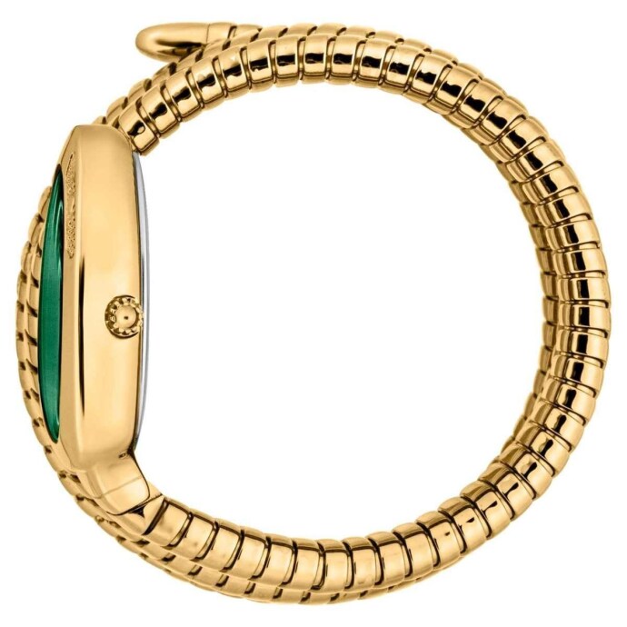 JUST CAVALLI JC1L232M0035 Kadın Kol Saati - 2