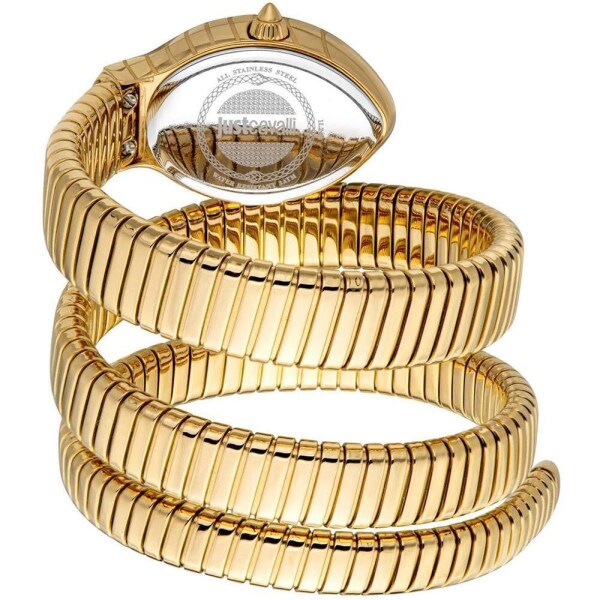 JUST CAVALLI JC1L248M0025 Kadın Kol Saati - 2