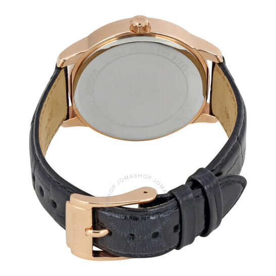 Michael Kors MK2456 Kadın Kol Saati - Thumbnail