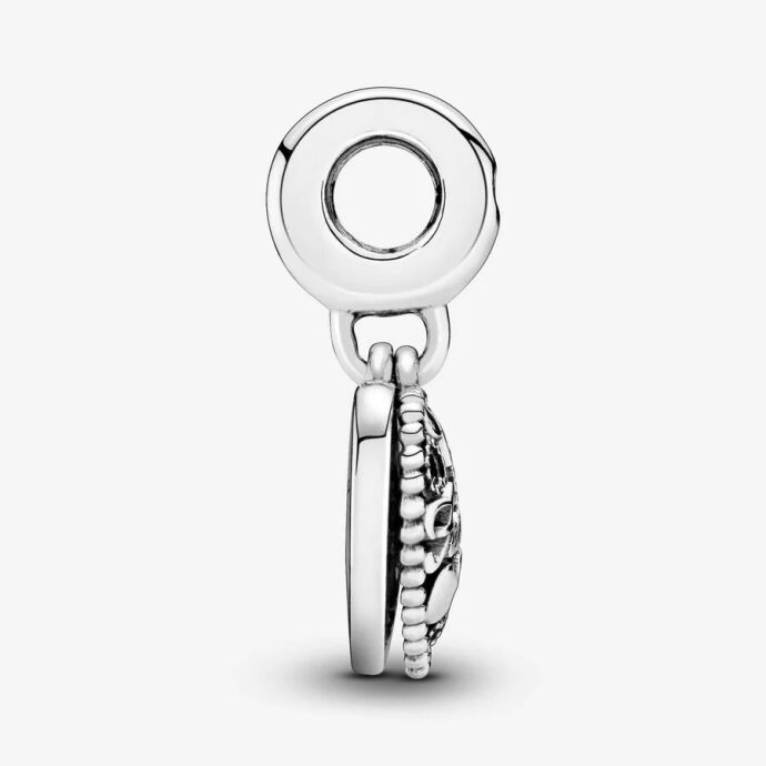 Pandora Aşk Bir Ailenin Kalbini Yaratır Charm 796459EN28 - 2