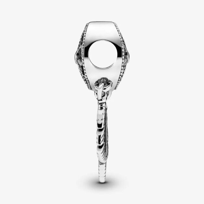 Pandora Spiritüel Düş Kapanı Charm 797200 - 2