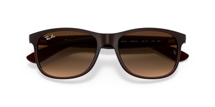 Ray-Ban RB 4202 607313 55*17 Güneş Gözlüğü - 6