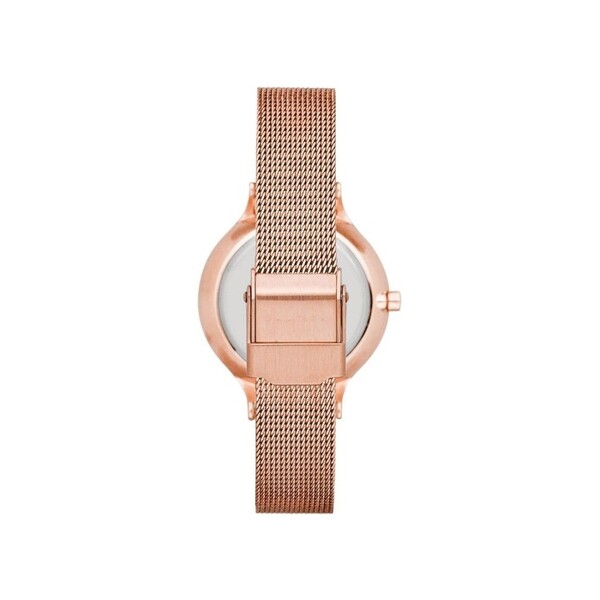 Skagen skw2413 cheap